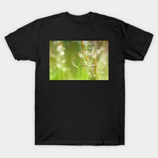 Fresh Green Grass with Dew Drops T-Shirt